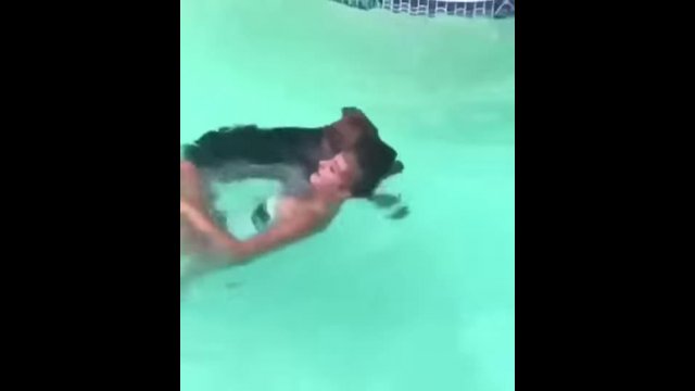 When you can't swim so much that the dog has to save you