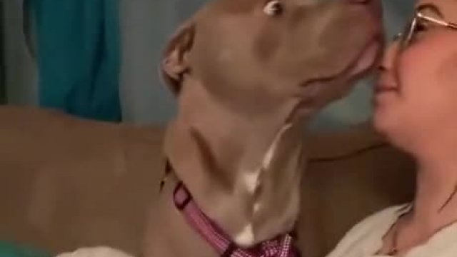 Dog has the best reaction when her mom decides to bark at her