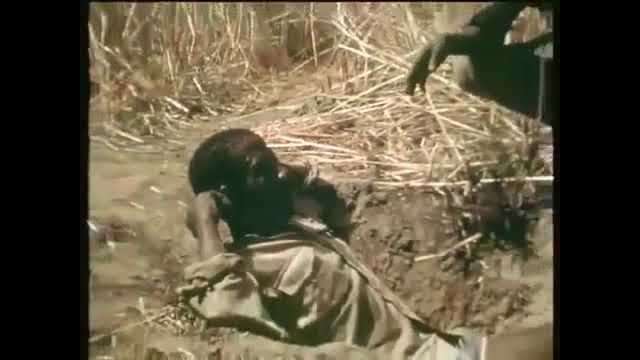 Africa, a python swallows the leg of a living man