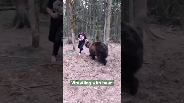 Man wrestling with bear [VIDEO]
