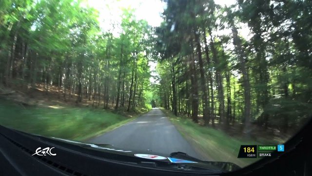 POV of a rally car with the driver driving 185 km/h on a forest road