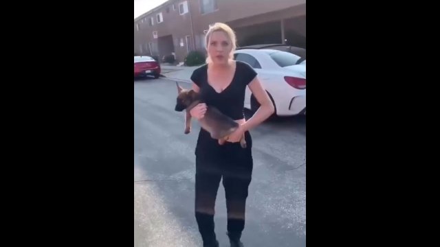 Woman throws her dog, man takes him to a better home [VIDEO]