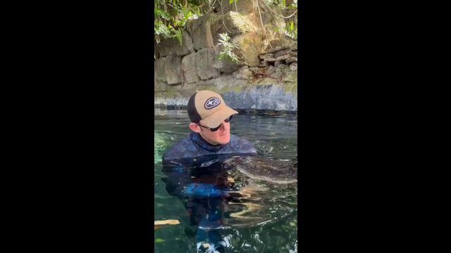 Man explains why this alligator won't kiII him [VIDEO]