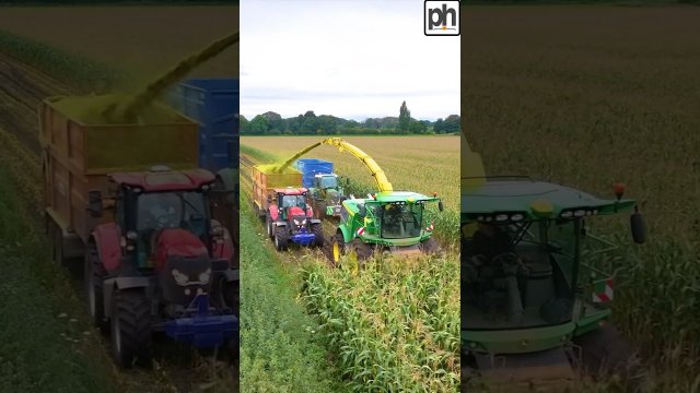 Maize Harvest madness with John Deere 9900i forage harvester [VIDEO]
