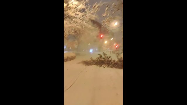 Tree breaks in half due to snow, Madrid