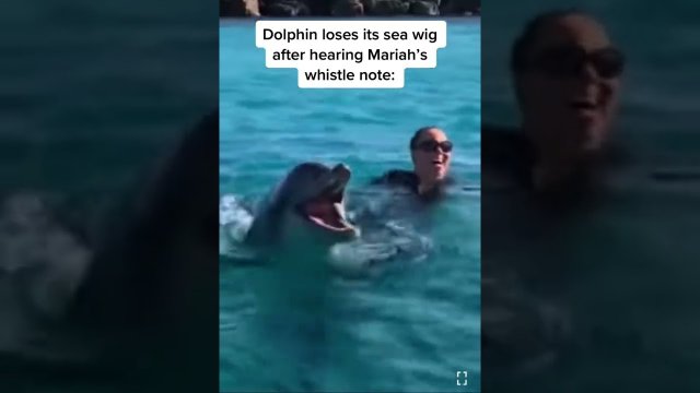 Mariah Carey sings to Dolphin with crazy high whistles and scares Dolphin away [VIDEO]
