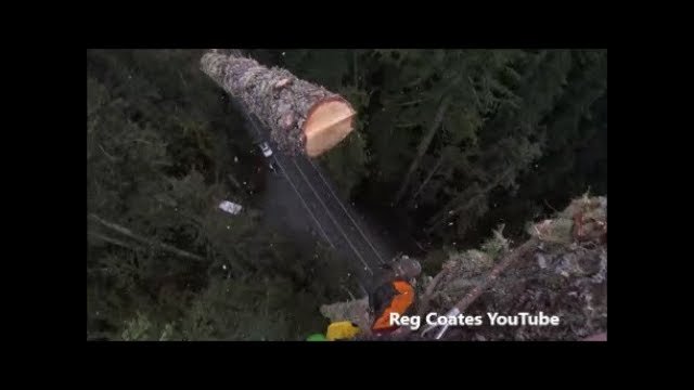 Tree Topping at 200+ feet. Cool heads prevail !