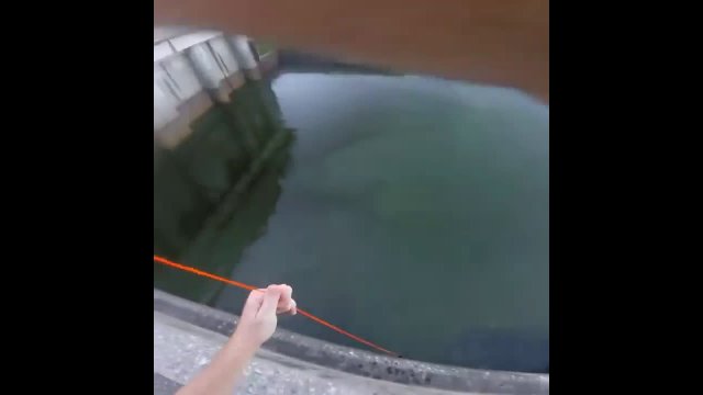 Fishing with a bow does not look easy
