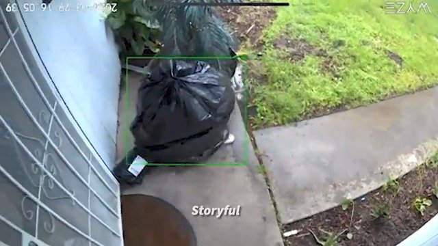Porch pirate disguises self in trash bag while stealing package [VIDEO]