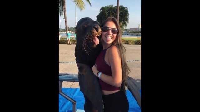 This sea lion thinks he is slick [VIDEO]