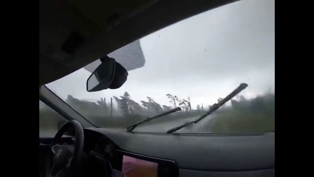 Trees fall in front of a moving car
