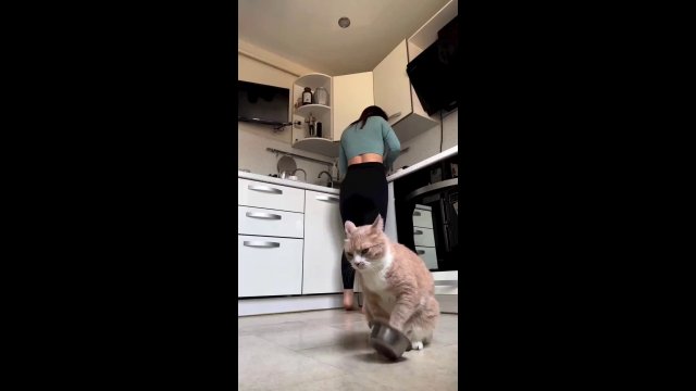 When the meal is 10 minutes late [VIDEO]