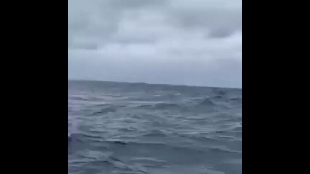 Epic footage of a humpback whale breaching [VIDEO]
