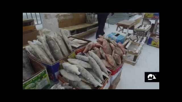 Extreme living: Yakutsk Open Air Market at -45°C [VIDEO]