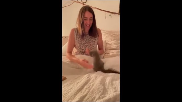 Playful squirrel loves getting flipped over by owner
