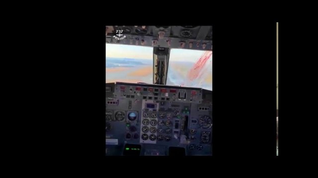 Boeing 737 Classic - massive birdstrike during landing