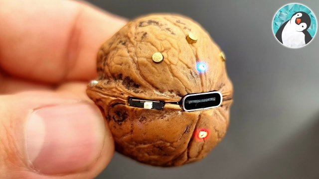 Walnut Shell Speaker Is a Miniature Musical Masterpiece [VIDEO]