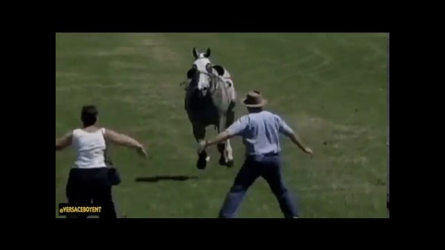 Horse RUNS OVER Woman! [VIDEO]