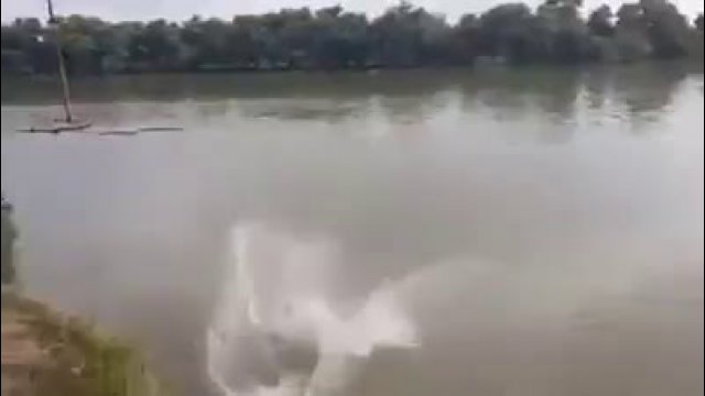 Running jump into the lake