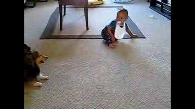 Excited dog makes baby laugh! [VIDEO]
