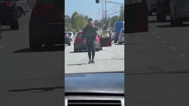 Driver chased by police during road rage incident [VIDEO]