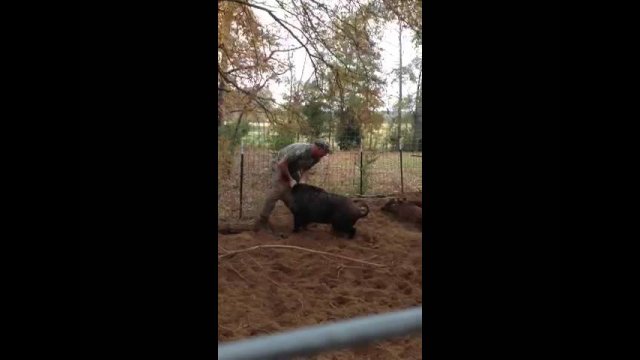 Jason vs Wild Hog [VIDEO]