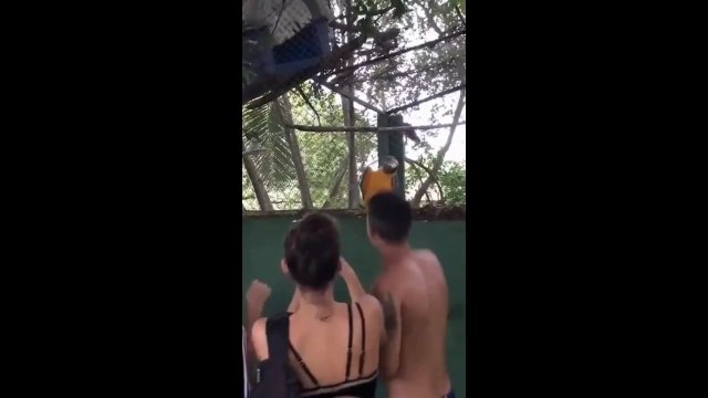 The moment parrot stops before drop got me laugh so hard [VIDEO]