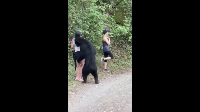 Woman takes selfie with bear on hiking trail in Mexico [VIDEO]
