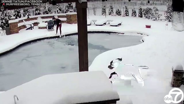 Tennessee woman jumps into frozen swimming pool to rescue dog