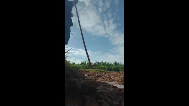 An attempt to jump a ditch with the help of a stick