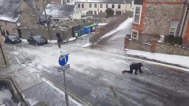 Not a single person can walk up this icy street and it's hilarious