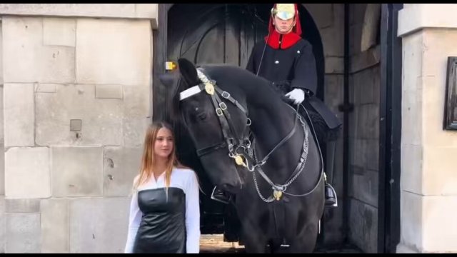 Even a horse can be flirtatious! [VIDEO]