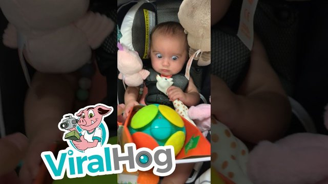 Baby Has Hilarious Reaction to Sensory Development Toy