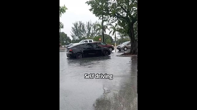 Tesla driving itself out of a flooded area [VIDEO]