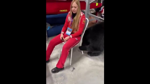 Clingy bear pulls caretaker's chair to be closer to her