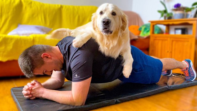 What does a workout look like when you have a golden retriever!