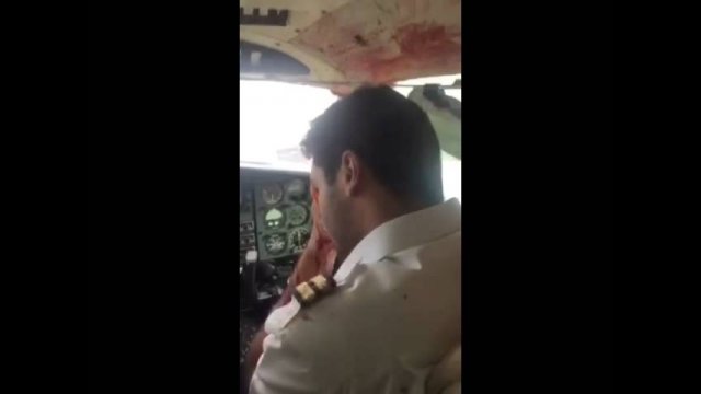 Bird strike hits airplane pilot and passengers