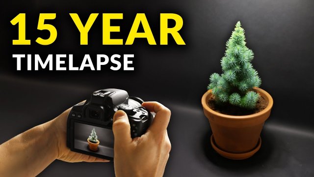 Filmed Plants For 15 years | Time-lapse Compilation [VIDEO]