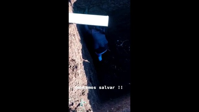 Rescuing a rodent that fell into a hole