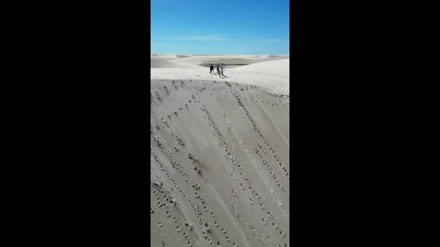 Have you ever heard of a desert with more water than sand? [VIDEO]