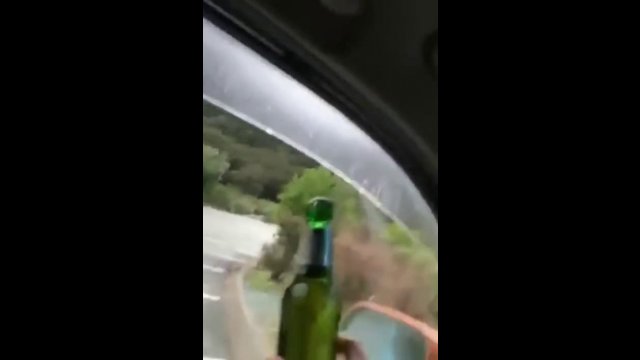 Friendly bird opens beer bottles for couple of New Zealanders