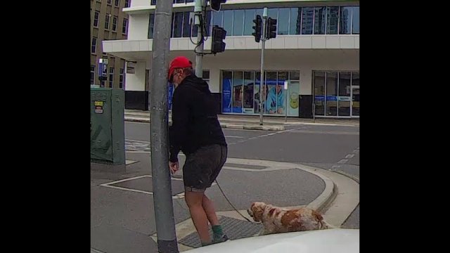 Angry pedestrian gets instant karma [VIDEO]