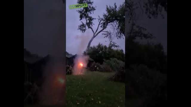 Cutting down a tree with a large firecracker