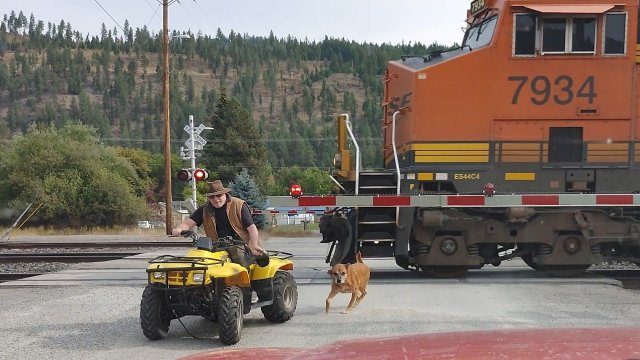 Idiot on ATV and his dog almost hit by train