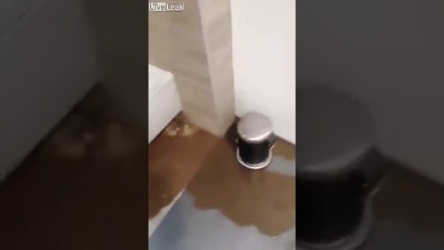 Inside of a flooding house [VIDEO]