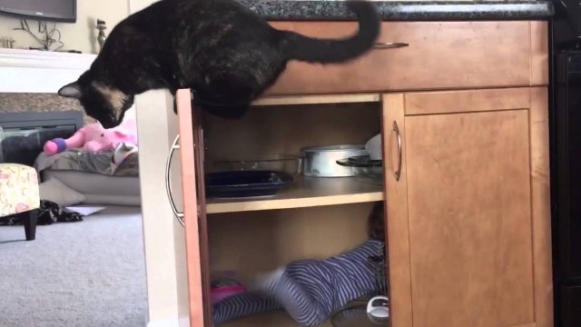 This Cat Is Sick Of His Kid [VIDEO]