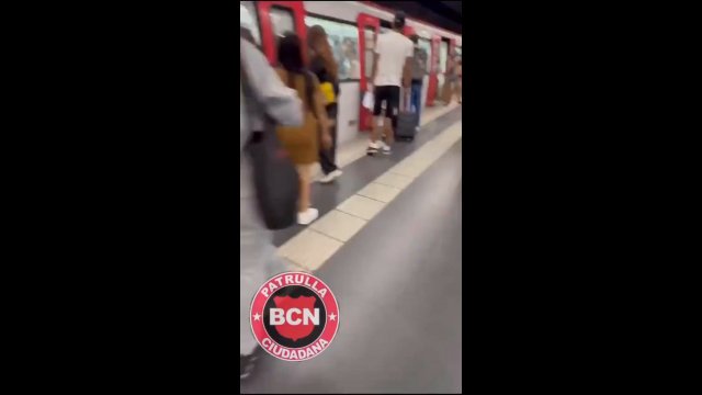 Pick Pocketers Get Filmed and Exposed On The Train [VIDEO]