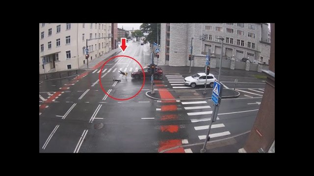 Electric scooter CRASH at crosswalk