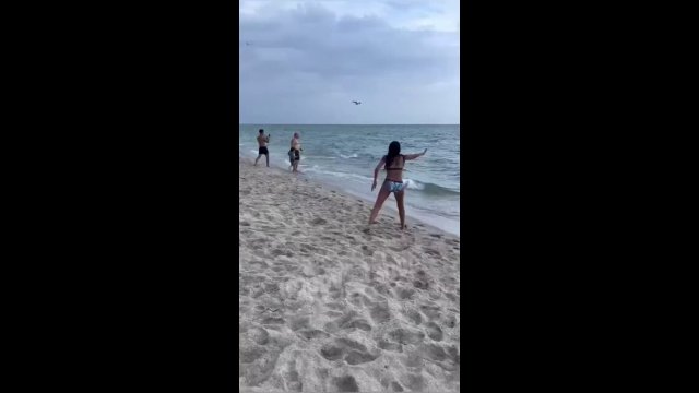 This shark was seen swimming by the shoreline in Miami [VIDEO]