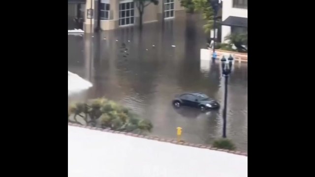 Tesla Model 3 drives through floodwaters with ease [WIDEO]